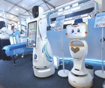 现多元化的成长趋向