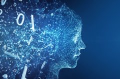 案没有提出具体的补偿金额要求